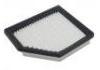 空氣濾清器 Air Filter:16546-6LA0A
