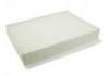 空調(diào)濾清器 Cabin Air Filter:T21-8107011