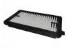 空氣濾清器 Air Filter:16546-6LS0A