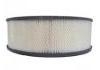 空氣濾清器 Air Filter:F1UZ-9601-A