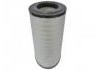 空氣濾清器 Air Filter:1317409