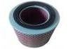 空氣濾清器 Air Filter:17801-87601