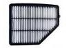 空氣濾清器 Air Filter:17220-6S9-A01