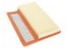 空氣濾清器 Air Filter:51817839