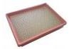 空氣濾清器 Air Filter:25099149