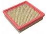 空氣濾清器 Air Filter:25043246